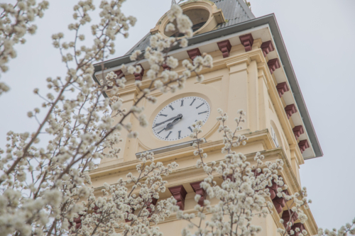 Spring blossoms and a small town post office building - Australian Stock Image