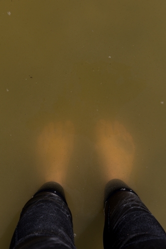 Standing in murky lake water - Australian Stock Image