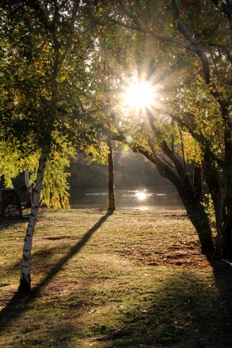 Starburst through trees over lake - Australian Stock Image
