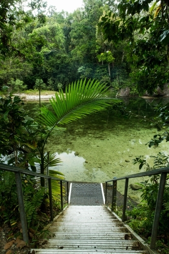 Steel staircase towards the green spring water surrounded with green plants - Australian Stock Image