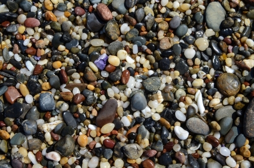 Stones, pebbles and shells on the beach - Australian Stock Image