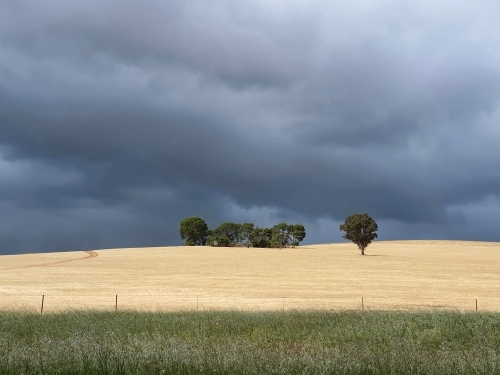 storm clouds over stubble paddock - Australian Stock Image