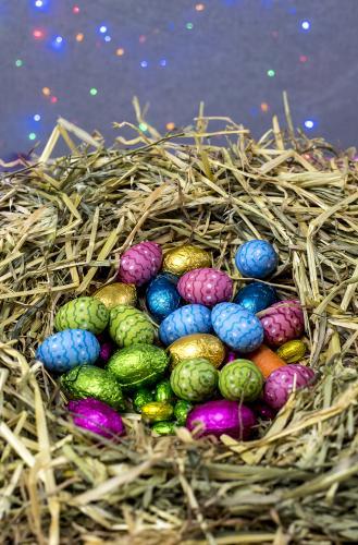 Straw nest filled with colourful easter eggs with coloured lights in background - Australian Stock Image