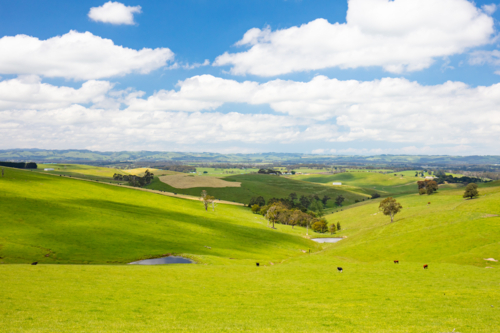 Strzelecki Ranges near the town of Koonwarra on the Bass Coast in Victoria, Australia - Australian Stock Image