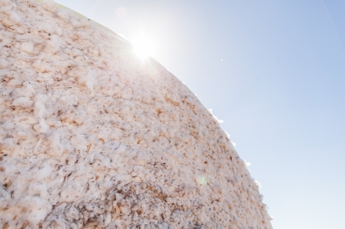 Sun flare over cotton bale on farm with copy space - Australian Stock Image