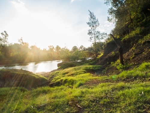 Sun light flare over green grass on riverside of hunter river in Singleton NSW - Australian Stock Image