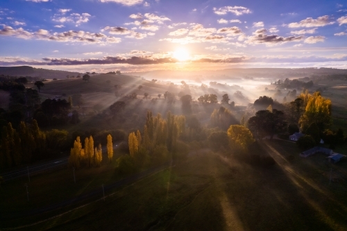 Sun ray beams streaking through the fog over the countryside while the foreground is lined with popl - Australian Stock Image