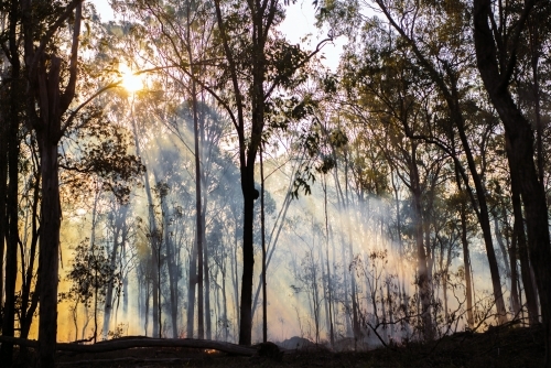 Sun rays shining through smoke during a bushfire - Australian Stock Image