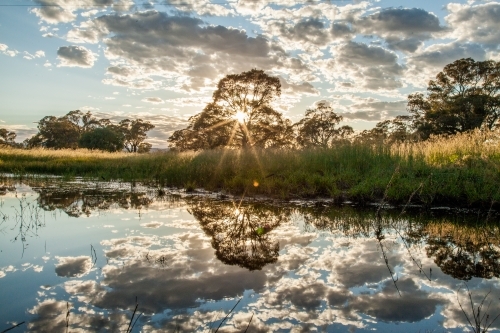 Sun rays shining through tree  with dramatic clouds reflected in water - Australian Stock Image