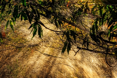 Sun rays through misting water - Australian Stock Image