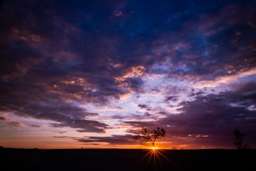 Sun setting in cloudy sky against tree over rural landscape - Australian Stock Image