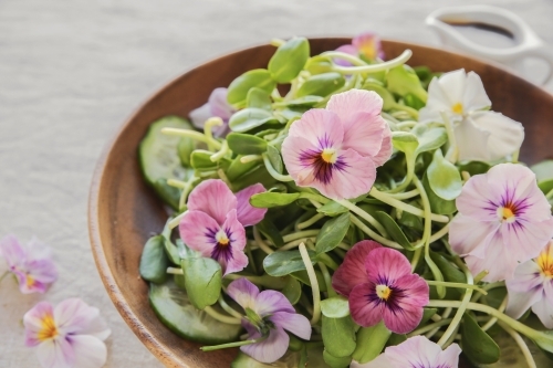 Sunflower sprouts, cucumber and edible flowers salad on wooden bowl - Australian Stock Image