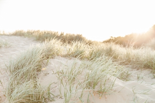 Sunlight over sand dune and grass - Australian Stock Image