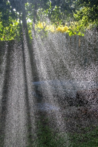 sunlight through sprinkler - Australian Stock Image