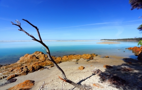 Sunny day on the foreshore of idyllic unspoilt Mallacoota, East Gippsland Victoria - Australian Stock Image