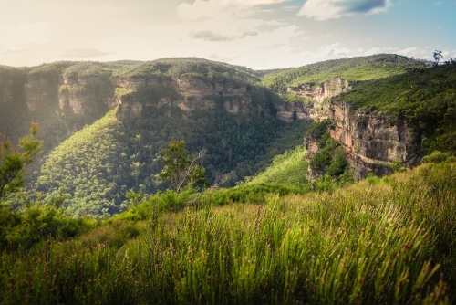 Sunny winters day in the Blue Mountains - Australian Stock Image