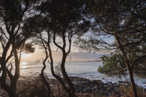 Sunrise across the ocean at Greens beach - Australian Stock Image
