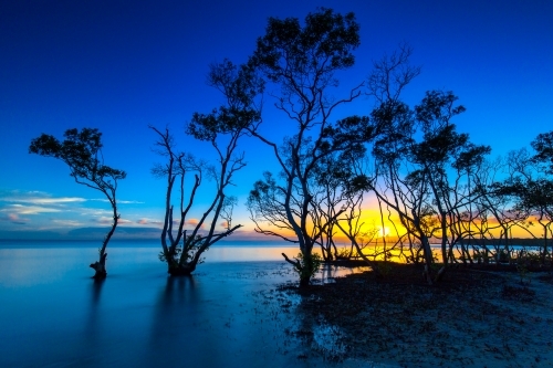 Sunrise Nudgee Beach - Australian Stock Image