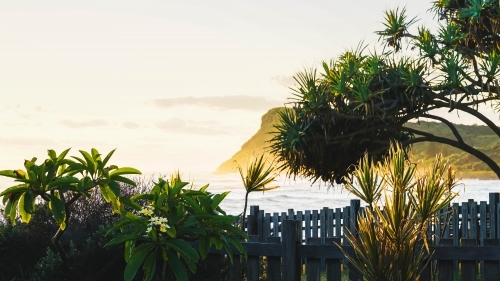 Sunrise on the headland - Australian Stock Image