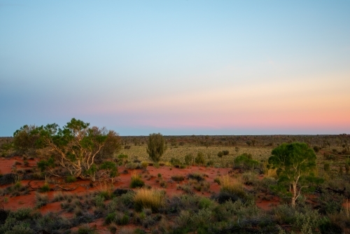 Sunrise over red desert sands with typical central Australian vegetation - Australian Stock Image