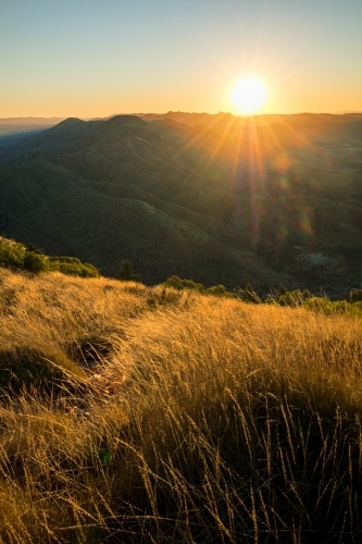 Sunset looking over golden coloured grasses from a high vantage point in the West MacDonnell Ranges. - Australian Stock Image