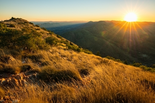 Sunset looking over golden coloured grasses from a high vantage point in the West MacDonnell Ranges, - Australian Stock Image