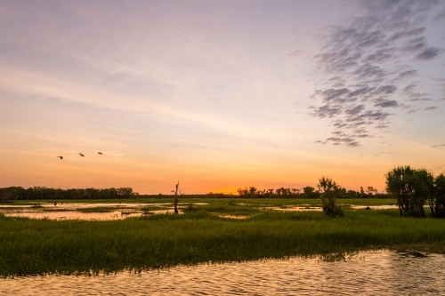 sunset on a wetland in Australia - Australian Stock Image