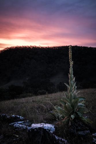 Sunset over farms in Capertee - Australian Stock Image