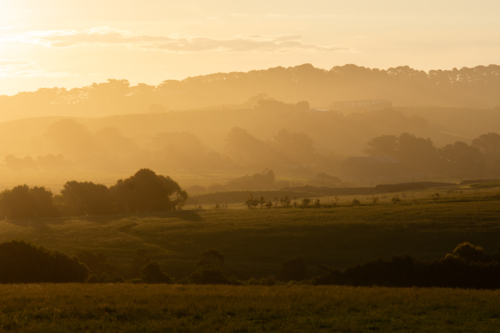 Sunset over paddock, trees and farmland on the Mornington Peninsula - Australian Stock Image
