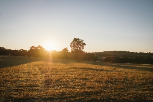Sunset through trees in the Avon Valley of Western Australia - Australian Stock Image