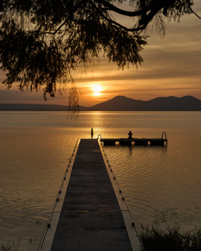 sunset view along jetty with tree in foreground - Australian Stock Image