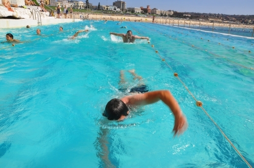 Swimmer Bondi Icebergs Rockpool - Australian Stock Image