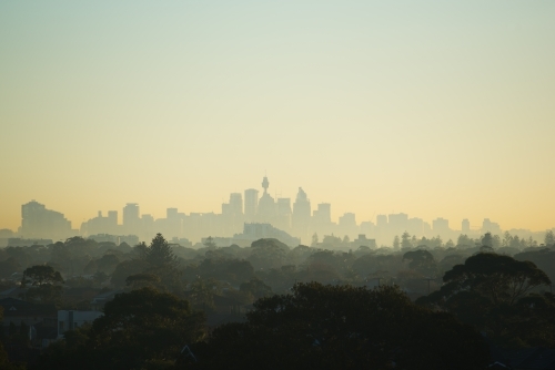 Sydney skyline at dawn with misty air - Australian Stock Image