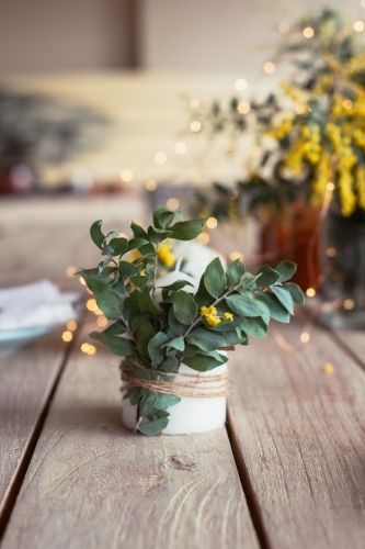 table decor with wattle leaf - Australian Stock Image