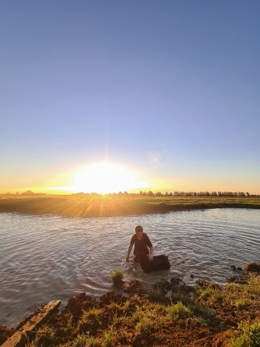 Teen boy and his dog swimming in dam at sunset. Summer life on the farm. - Australian Stock Image