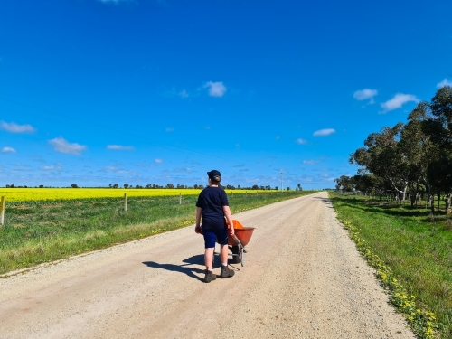 Teen boy pushing wheelbarrow down country road beside canola paddock - Australian Stock Image