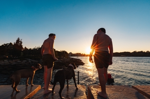 Teenage boys standing with dogs on ledge by water in bright setting sun - Australian Stock Image