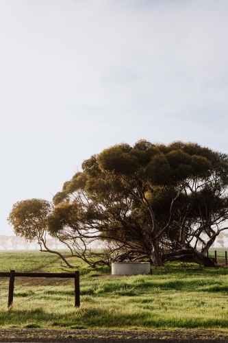 The Edge of the Farm - Australian Stock Image