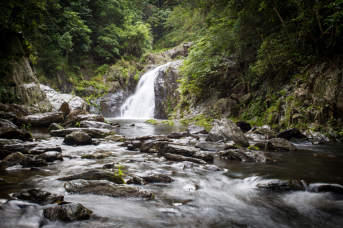 The famous Crystal Cascades near Cairns in Queensland, Australia - Australian Stock Image