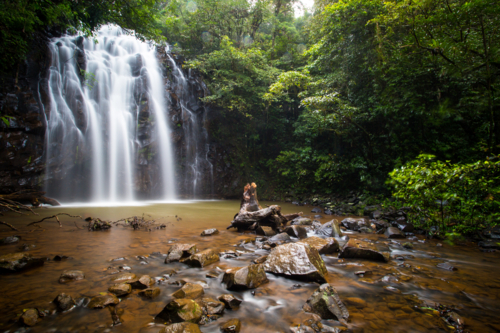 The famous Ellinjaa Falls waterfall in the Atherton Tablelands area of Queensland, Australia - Australian Stock Image