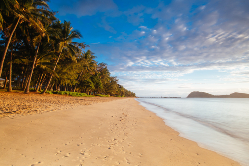 The famous idyllic beachfront of Palm Cove at sunrise in Queensland, Australia - Australian Stock Image