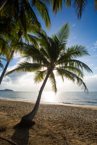 The famous idyllic beachfront of Palm Cove on a winter's day in Queensland, Australia - Australian Stock Image