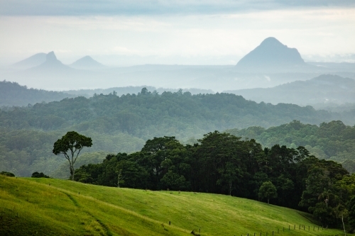 The Glasshouse Mountains and green hinterland - Australian Stock Image