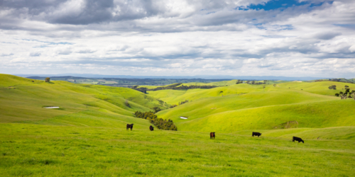 The iconic Strzelecki Ranges near the town of Loch on the Bass Coast in Victoria, Australia - Australian Stock Image