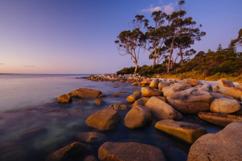 The lichen covered rocks at sunset in the Bay of Fires at Binalong Bay, Australia - Australian Stock Image