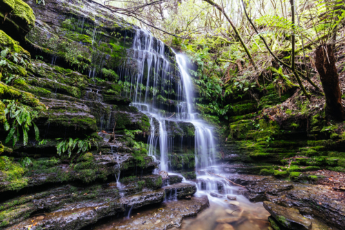 The popular Myrtle Gully Falls situated on the slopes of Mt Wellington on a warm spring day - Australian Stock Image