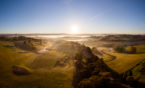 The sun rises thru fog on a cold autumn morning near Kangaroo Ground in the Yarra Valley. - Australian Stock Image