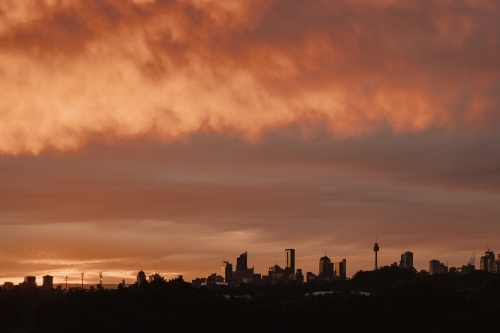 The Sydney city skyline silhouetted at sunset