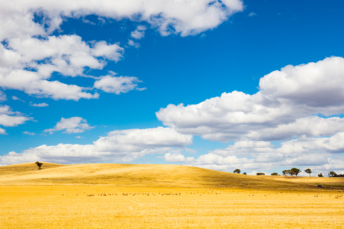 The vast expanse of farm fields in the Moolort Plains near the old township of Maldon - Australian Stock Image