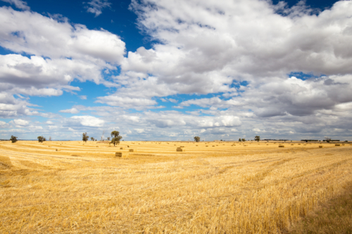 The vast expanse of farm fields in the Moolort Plains near the old townships of Maldon - Australian Stock Image
